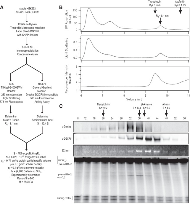 FIGURE 2.