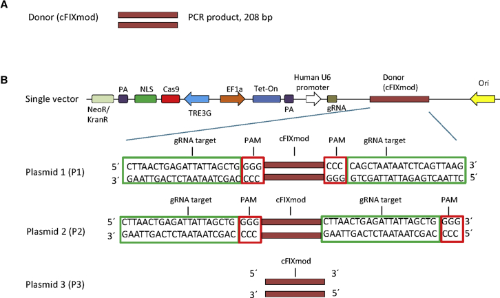 Figure 3