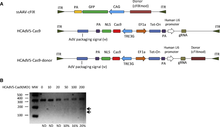 Figure 5