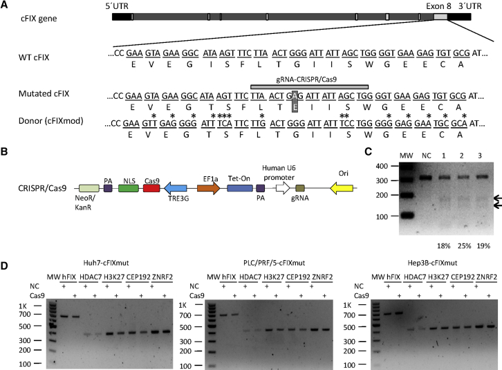 Figure 2