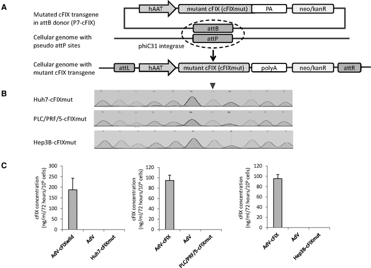 Figure 1