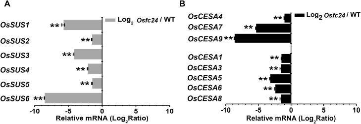 Fig. 8.