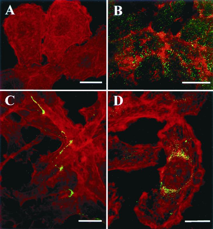 FIG. 6