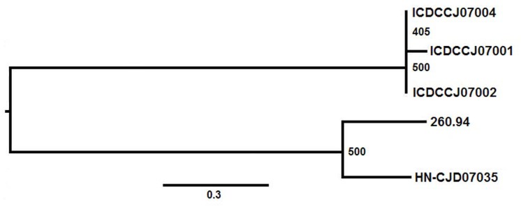 Fig 2