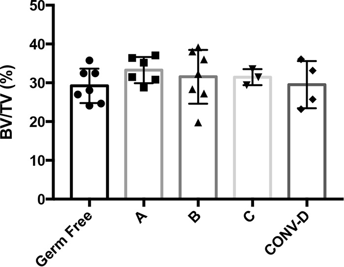 FIG 1 