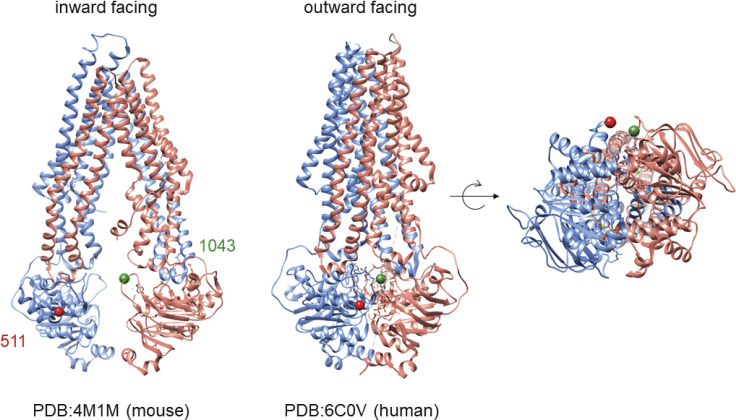 Figure 5.