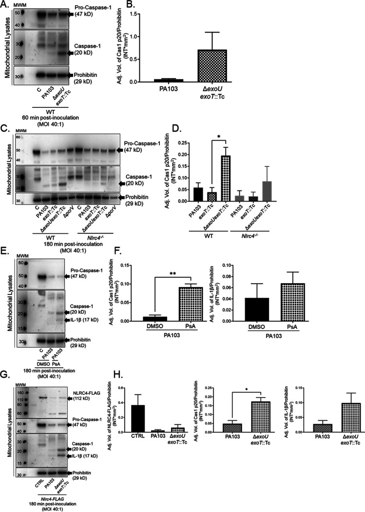 FIG 4