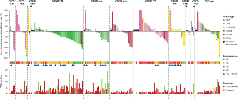 Figure 3. Individual response and treatment outcome by FGFR aberration in patients who received futibatinib 20 mg once daily. The figure shows individual treatment outcomes organized by FGFR aberration type, color coded for tumor type in patients who received futibatinib 20 mg once daily. RECIST v1.1 criteria were used for tumor response assessment for all tumor types except for CNS tumors, for which RANO criteria were used. Several patients (n = 14) had more than one type of FGF/FGFR aberration and are represented in each relevant FGFR aberration category. These patients are indicated with the letters a–n, with each letter representing an individual patient.