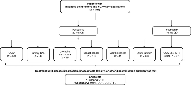 Figure 1. Phase I expansion study design. aIntrahepatic (n = 61) and extrahepatic (n = 3) CCA. bSarcoma (n = 6); colorectal cancer (n = 5); endometrial cancer (n = 3); esophageal cancer (n = 3); gallbladder cancer (n = 3); head and neck cancer (n = 2); adrenal cortical cancer, lung cancer, mesothelioma, ovarian cancer, pancreatic cancer, and thyroid cancer (n = 1 each); and primary unknown (n = 3). cBreast cancer, gallbladder cancer, primary CNS cancer, sarcoma, urothelial cancer, and thyroid cancer (n = 1 each), and primary unknown (n = 2). iCCA, intrahepatic CCA; QD, once daily.