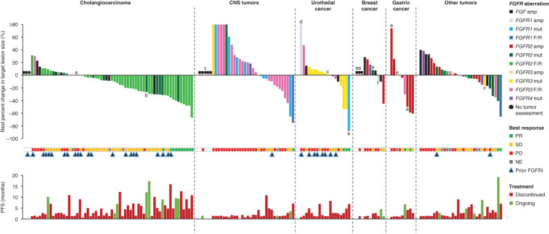 Figure 2. Individual response and treatment outcome by tumor type in patients who received futibatinib 20 mg once daily. This figure shows individual treatment outcomes organized by tumor type, color coded for FGFR aberration in patients who received futibatinib 20 mg once daily (n = 170). RECIST v1.1 criteria were used for tumor response assessment for all tumor types except CNS tumors, for which RANO criteria were used to assess tumor response. Several patients (n = 14; indicated with a–f) had more than one type of FGF/FGFR aberration. In addition to the FGF/FGFR aberration indicated by the color-coded bars, patients had (a) FGFR2 F/R, (b) FGF3/4/19 amp, (c) FGFR3 F/R, (d) FGFR3 mut, (e) FGF3/19 amp, or (f) FGFR2/3 amp. amp, amplification; FGFRi, FGFR inhibitor; F/R, fusion/rearrangement; mut, point mutation; NE, not evaluable; PD, progressive disease.