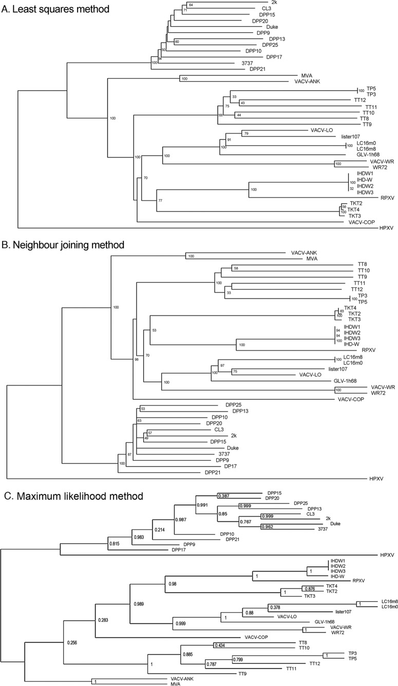 FIG 4