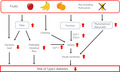 graphic file with name JDI-12-1759-g003.jpg