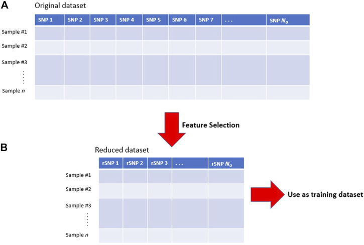 FIGURE 2