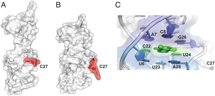 Fig. 3.