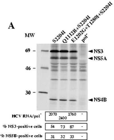 FIG. 7.