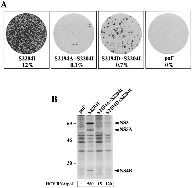 FIG. 8.