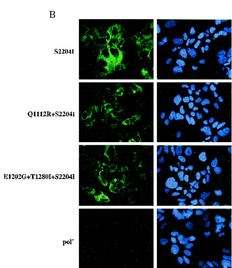 FIG. 7.