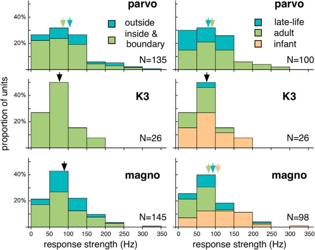 Figure 11.