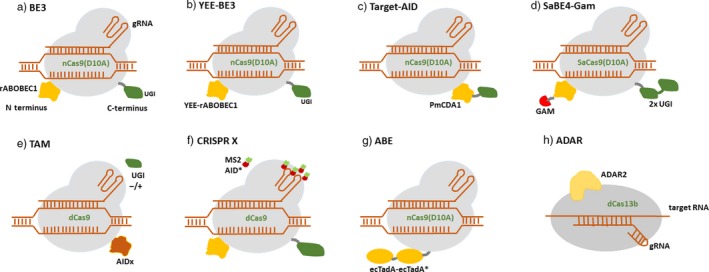 Figure 2