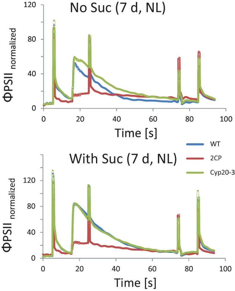 Figure 1—figure supplement 1.