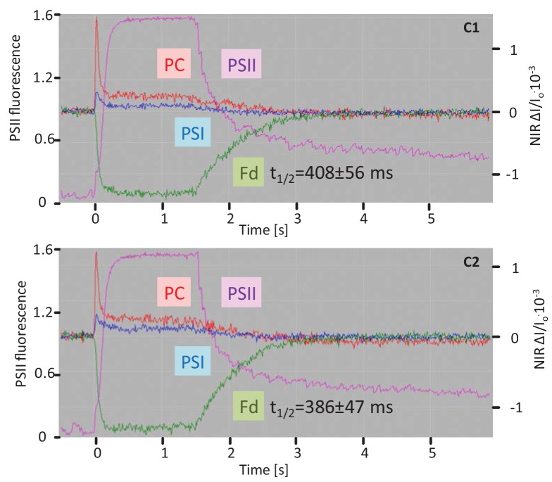 Figure 6—figure supplement 1.