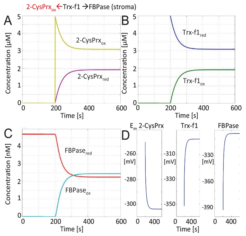 Figure 3—figure supplement 1.