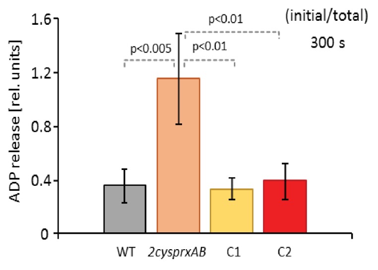 Figure 5—figure supplement 2.