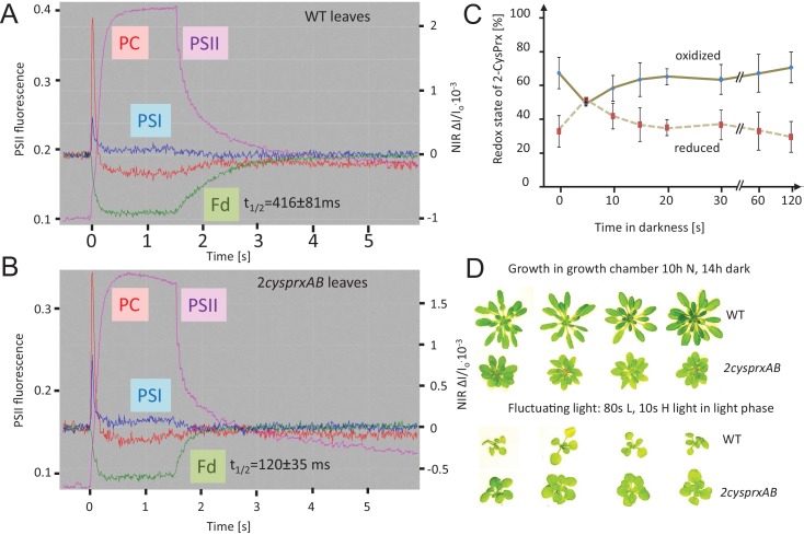 Figure 6.