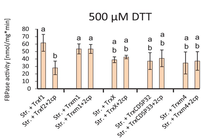 Figure 2—figure supplement 1.