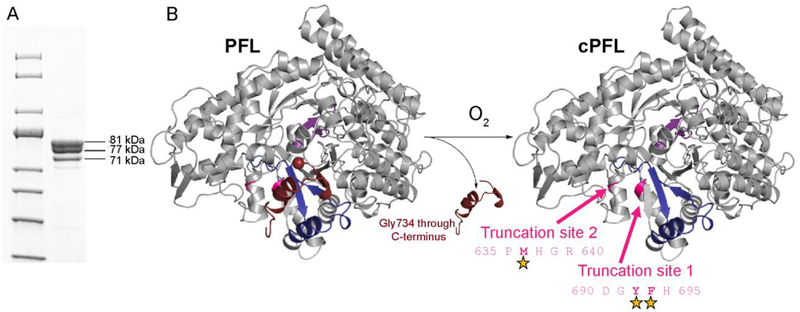 Figure 6: