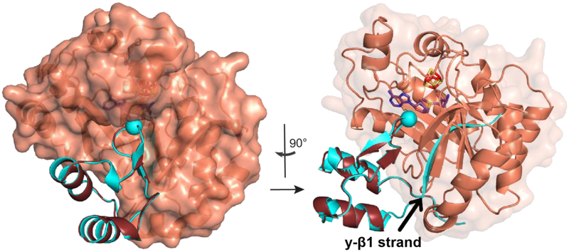 Figure 5: