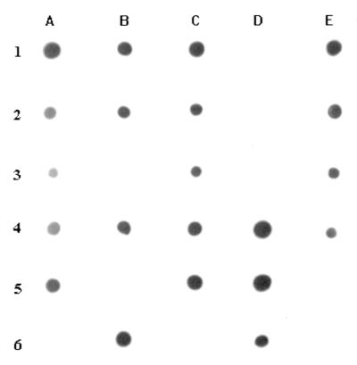 FIG. 5