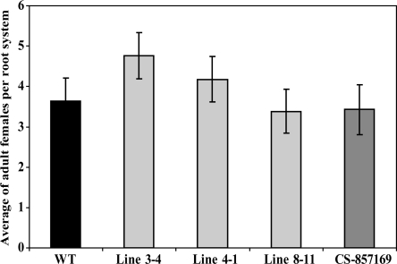 Figure 5.