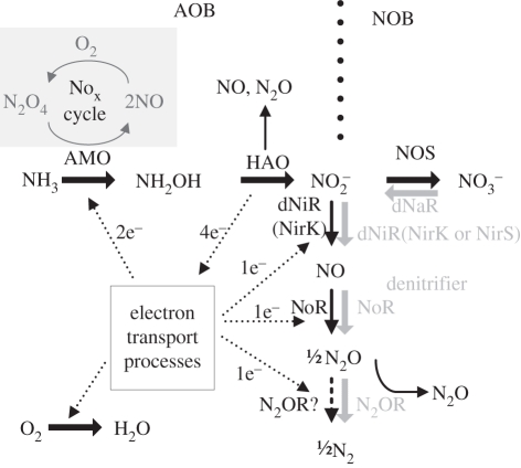 Figure 2.