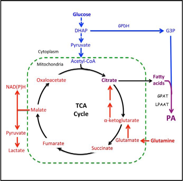 FIGURE 3.