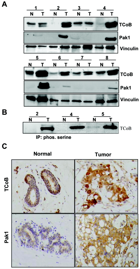 FIG. 7.