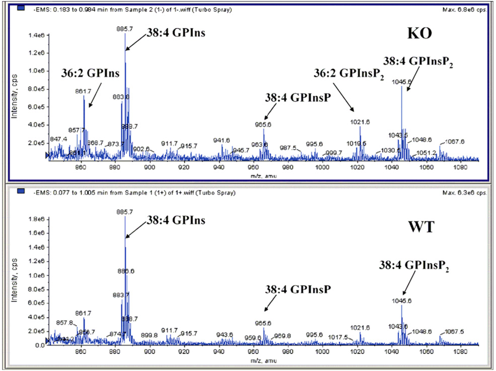 Fig. 4