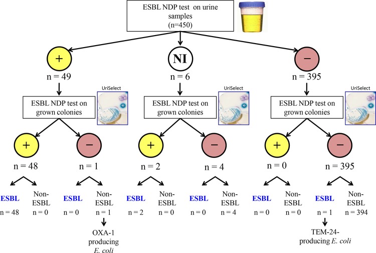 FIG 1