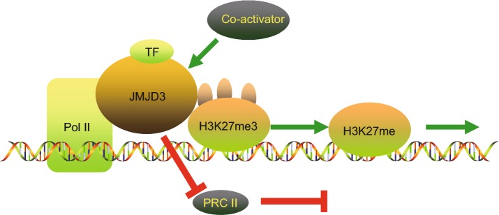 Figure 2