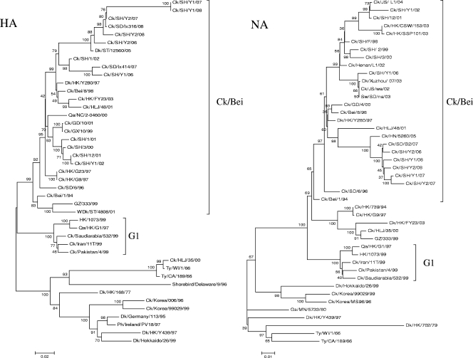 FIG. 1.