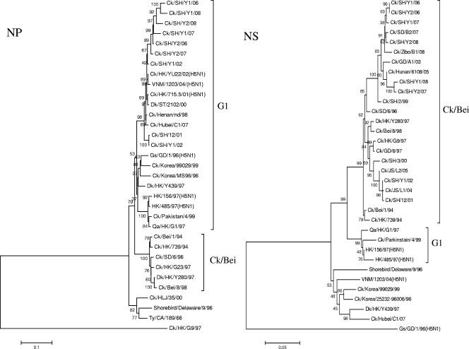 FIG. 2.