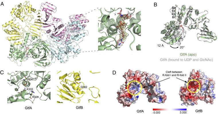 Fig. 2.