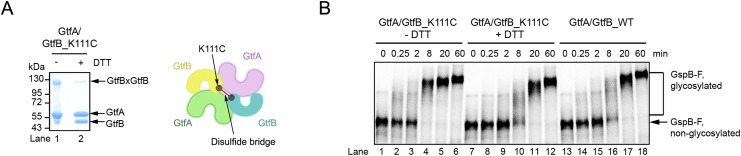 Fig. S6.