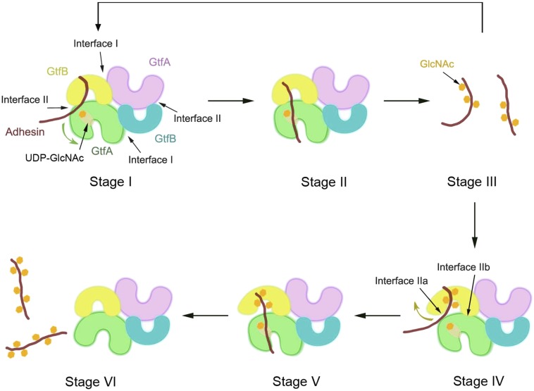 Fig. 7.