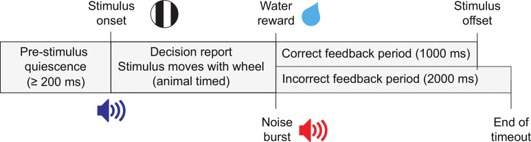 Figure 1—figure supplement 1.