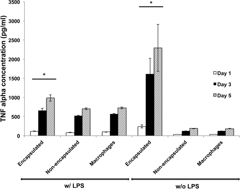 Fig. 12.