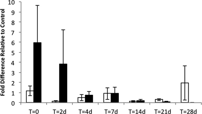 Fig. 11.