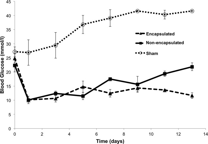 Fig. 13.