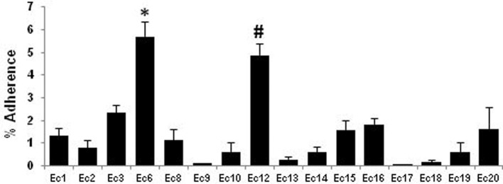 Figure 4.