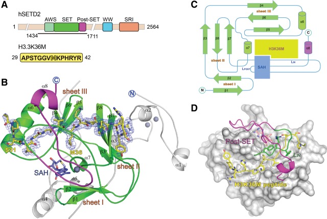 Figure 1.